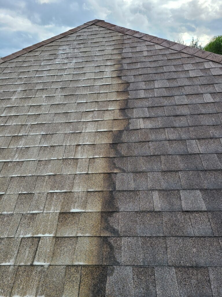 Roof Washing in Holland example 1