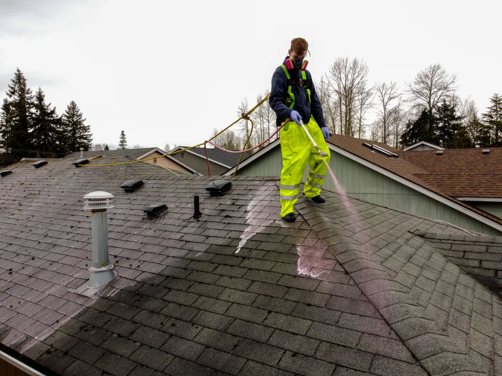 Roof Washing in Holland example 2