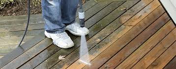 Wood Deck Cleaning in Ada example 4
